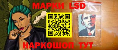 прущие крисы Моздок