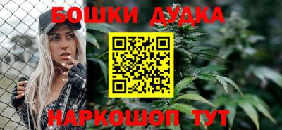 прущие крисы Моздок