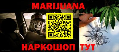 прущие крисы Моздок