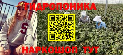 твердый Можга