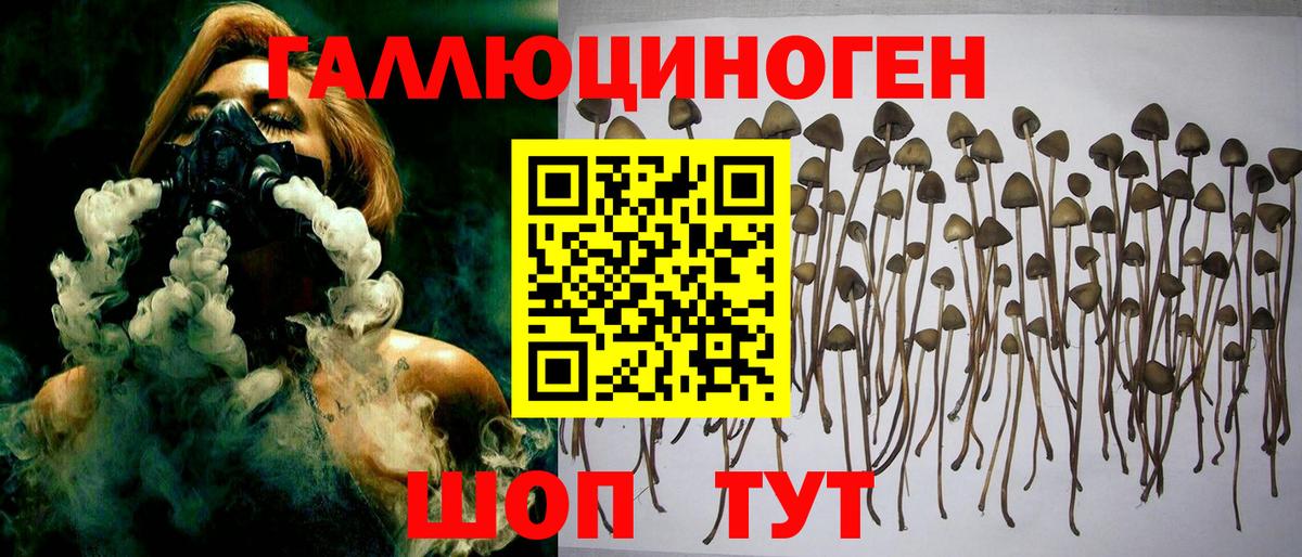Псилоцибиновые грибы ЛСД  Псилоцибиновые грибы GOLDEN TEACHER  Выкса  Вход с VPN 