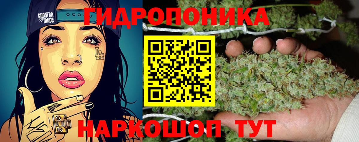 Конопля MAZAR  Бошки Шишки ГИДРОПОН  Выкса  Вход с VPN 